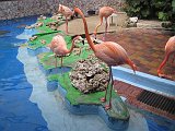 Curacao 04-12 217